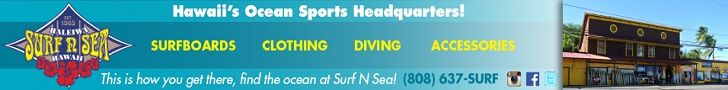 Surf n Sea 728×90 generic 2.1.23—